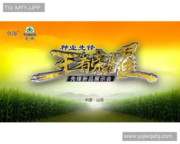 李磊畅谈王者荣耀职业生涯背后的故事与心路历程 李磊畅谈王者荣耀职业生涯背后的故事与心路历程