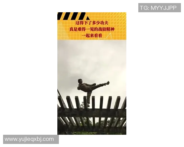 滑板精神:见证北京滑板队勇攀高峰的奋斗与成长之路